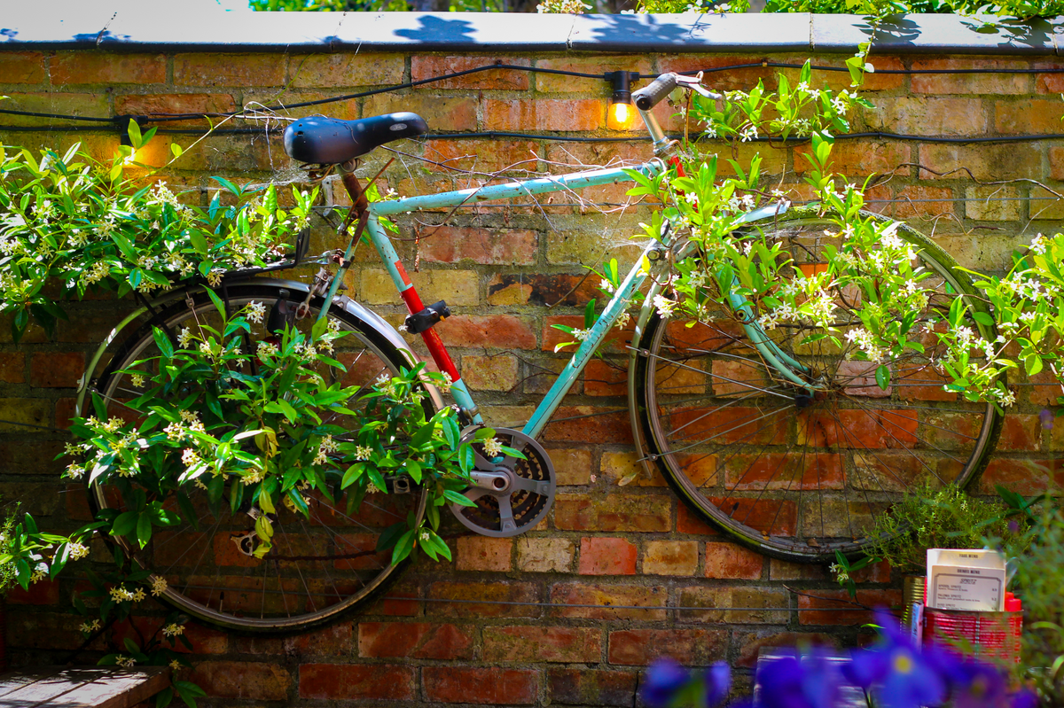 Vintage bicycle mounted on a brick wall covered in climbing plants at The Rusty Bicycle