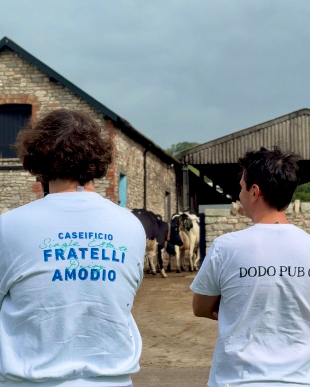 From Somerset to Dodo: The Story Behind Our Mozzarella
