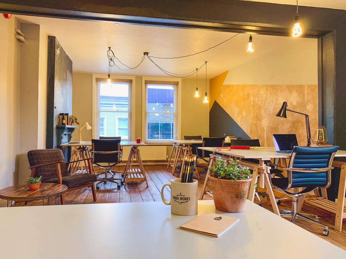 Bright Dodo Works co-working space with desks and chairs