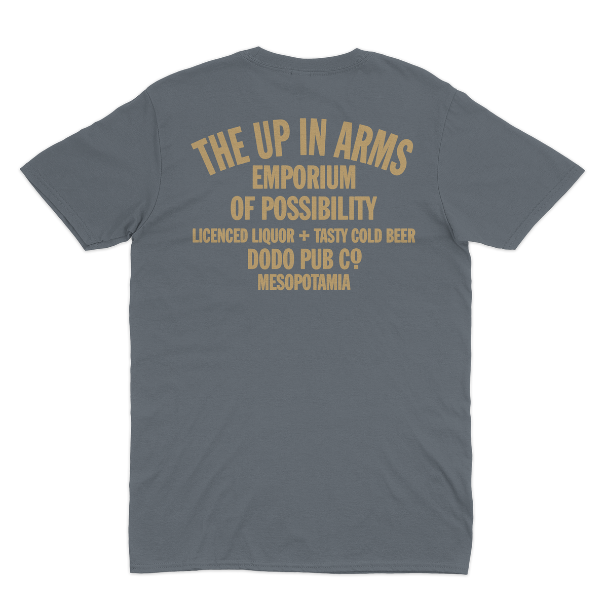 Back of a grey The Up In Arms T-shirt from Dodo Pub Co